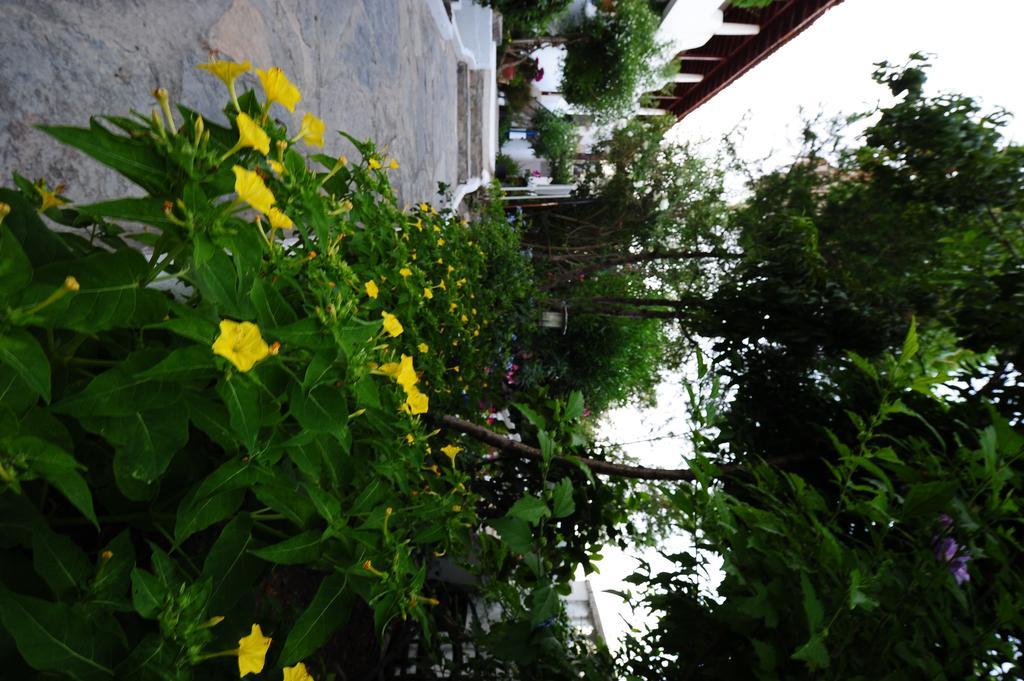 Maritim Hotel Golturkbuku Exterior foto